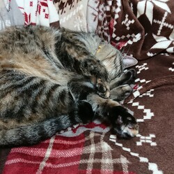 場所取り合戦、本日の勝者は・・・