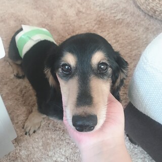 可愛い男の子です。