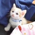 タレ目ちゃん【陸人】