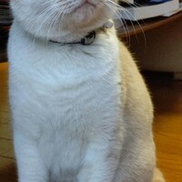 久保田マロン