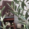 キクハシ