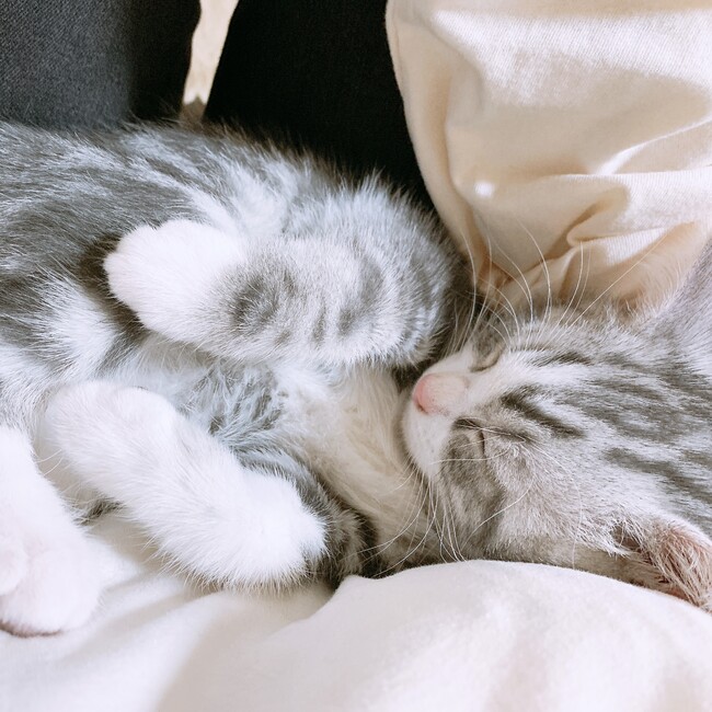 お爺㌠のカバー写真