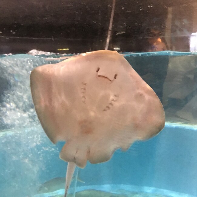 田中雅也のカバー写真