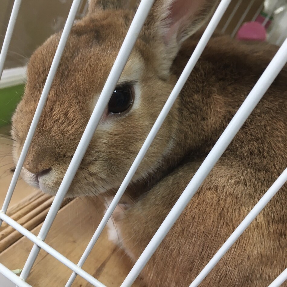 ジャンプのカバー写真