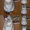 モジモジするタオ。初めてうちに来た時と全然違うね。