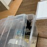 開いた〜！！