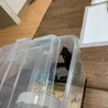今がチャンス！！
