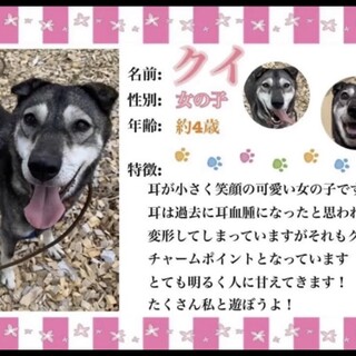 ちっちゃなお耳が可愛い❤️