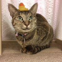 ワルツ