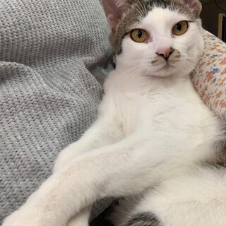 ずっとのおうちが決まりました