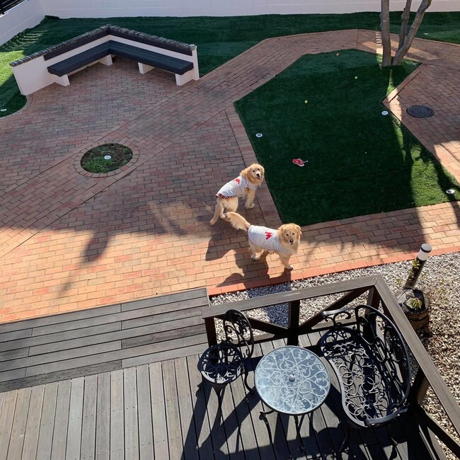 SKTのカバー写真