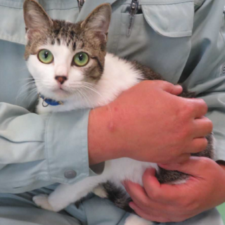 おもちゃが大好きなやんちゃ娘