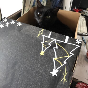 ジニアスの写真