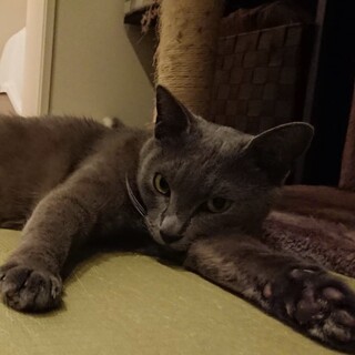 里親様が決まりました♡有難うございました！