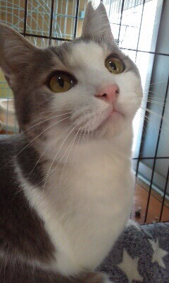 ◎パステルカラーの可愛い男の子 サムネイル1