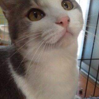 ◎パステルカラーの可愛い男の子