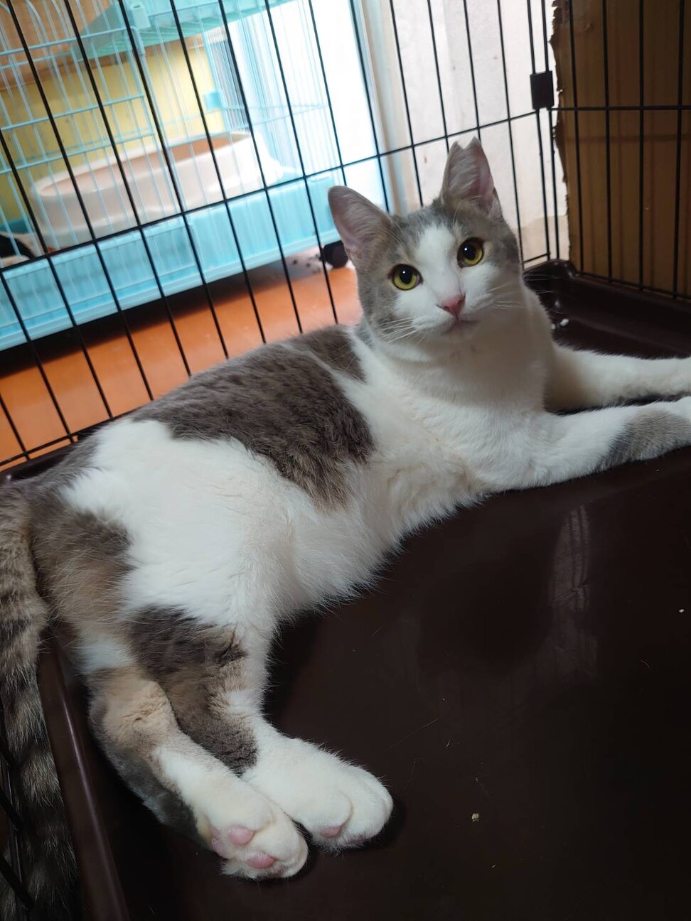 ◎パステルカラーの可愛い男の子 サムネイル2