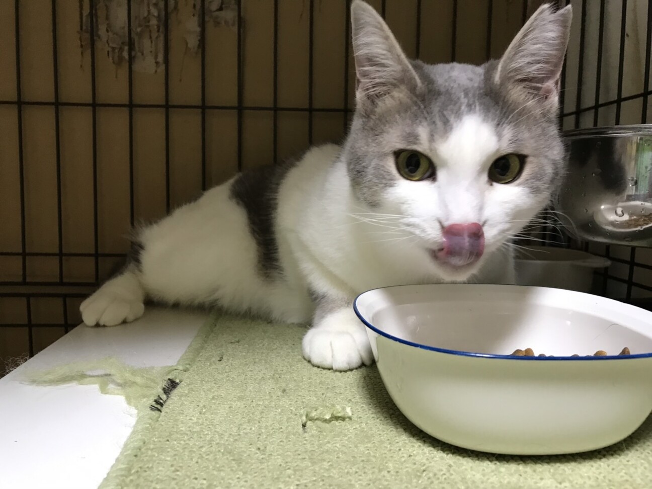 ◎パステルカラーの可愛い男の子 サムネイル5