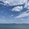 かめなしかめこ