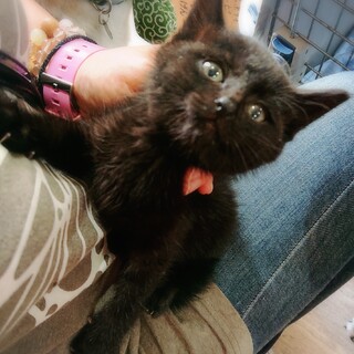 コロコロな女の子♪