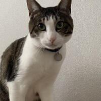 テオ