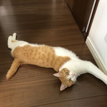 の写真