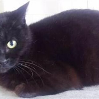 初対面でもこの通り！！