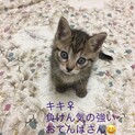 キキちゃん　