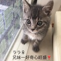 ララちゃん　