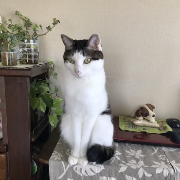 日向多の写真
