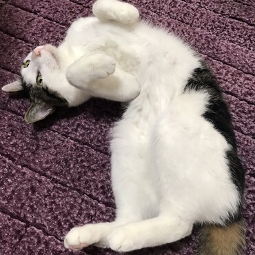 日向多の写真