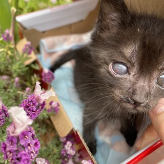 ありがとうございました