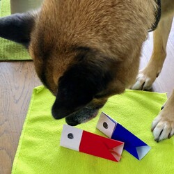 「こどもの日」サムネイル3