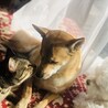 みんな仲良し