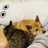 あら、起きちゃったの？