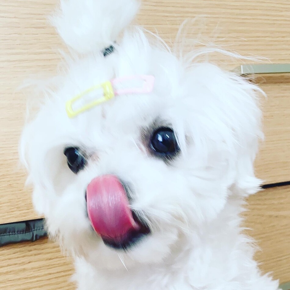 우유のカバー写真