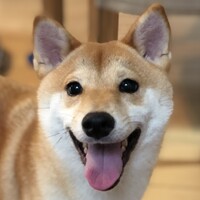 三太