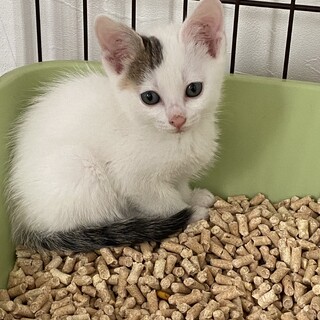 交渉中のため新規受付停止中