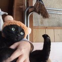 愛嬌たっぷり、お膝大好き♡