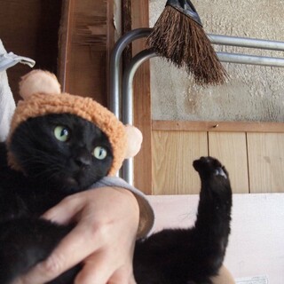 愛嬌たっぷり、お膝大好き♡