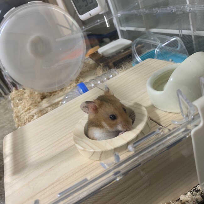 ko_ra08のカバー写真