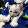 1日目、暖かくなったらお顔拭こうね