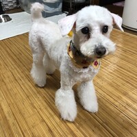 ミルク