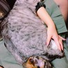 るんるん様