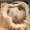 ゆうごろうー