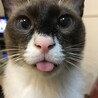 吟ママ