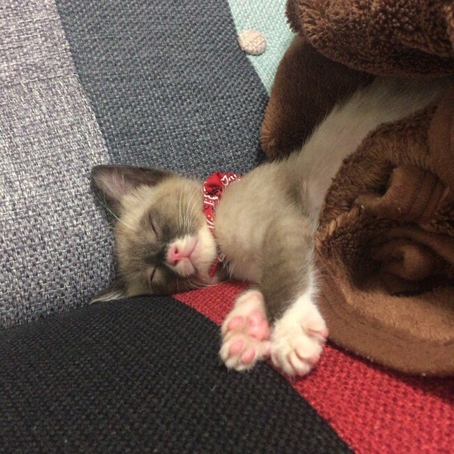 吟ママのカバー写真