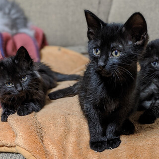 おうち決定。ありがとうございました