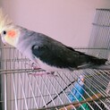 募集を終了します。