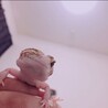  さん